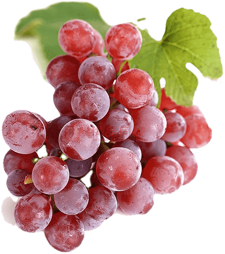 Grape Extract - Velvet Ingredients