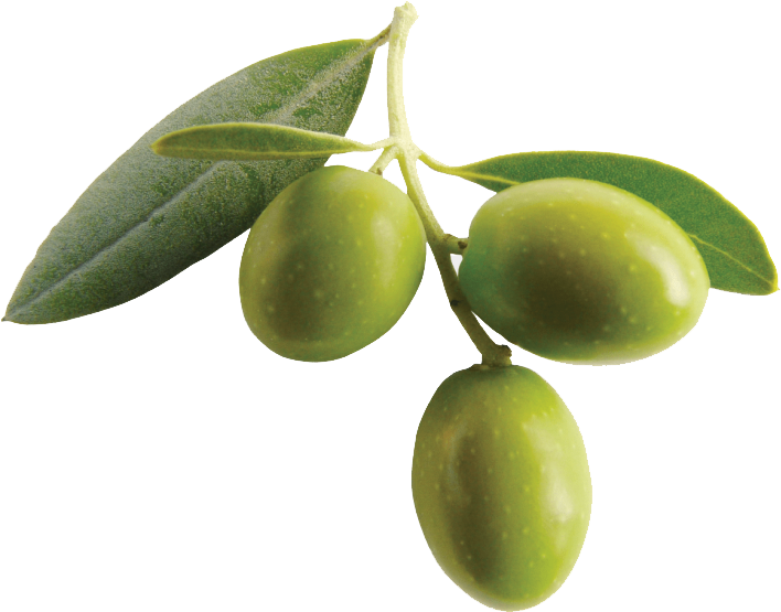 Olive oil - Velvet Ingredients